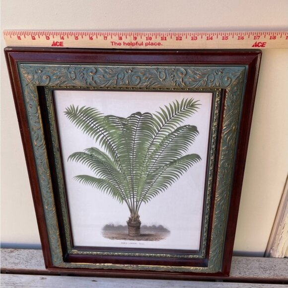 Framed Botanical Print Illustration 22'" x 17.5" - Picture 7 of 8